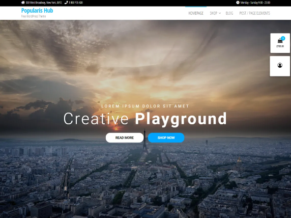 Best Free WordPress Theme