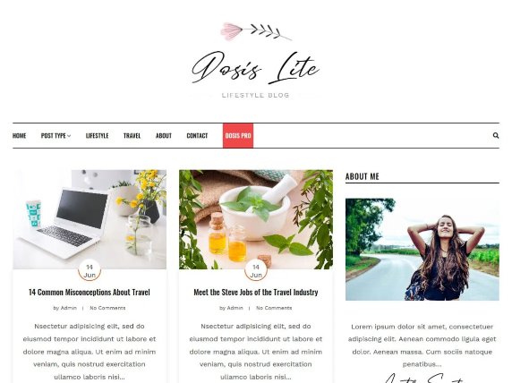 Best Free WordPress Theme