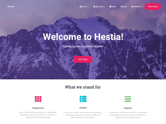 Best Free WordPress Theme