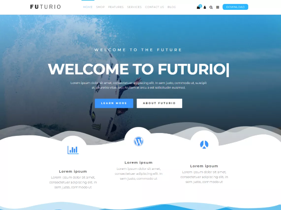 Best Free WordPress Theme