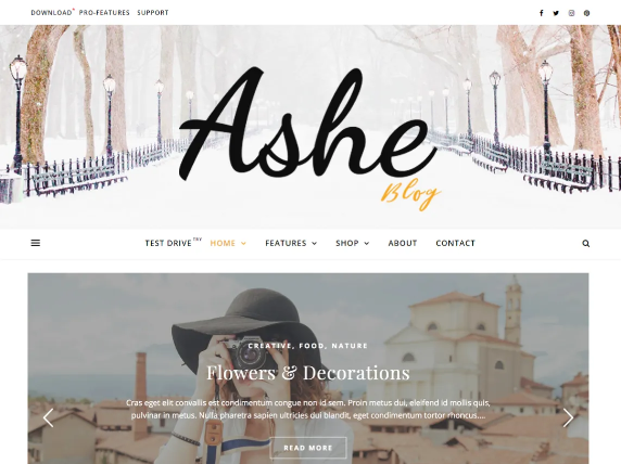 Best Free WordPress Theme