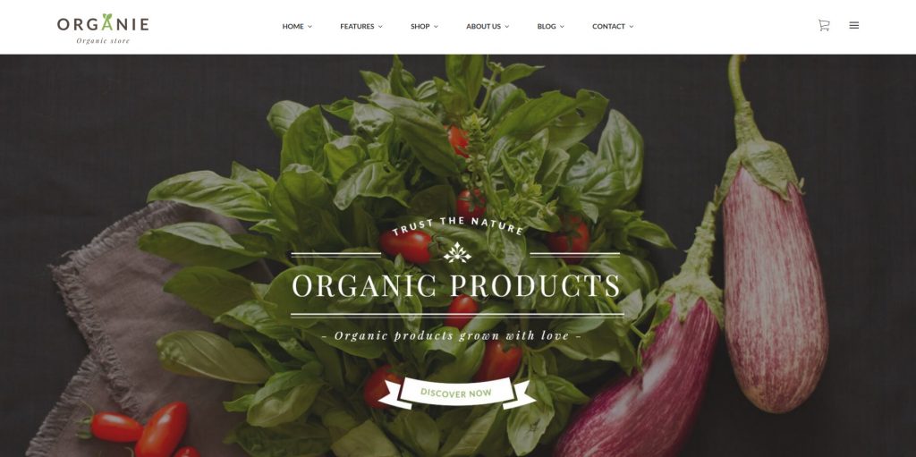 Best Health & Beauty Magento 2 Themes