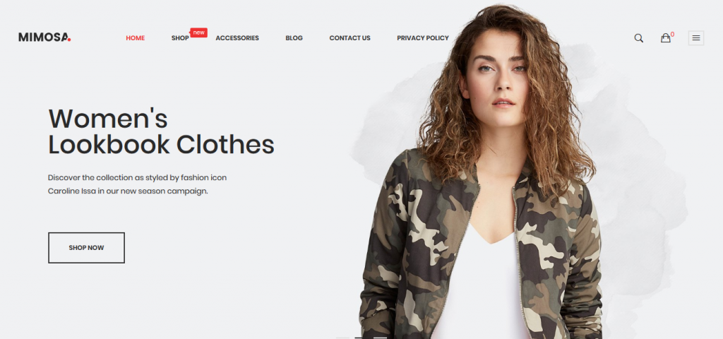 Best Fashion & Apparel Magento 2 Themes