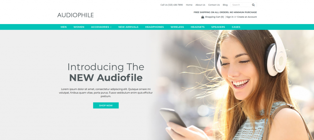 Audiofile 3dCart Theme