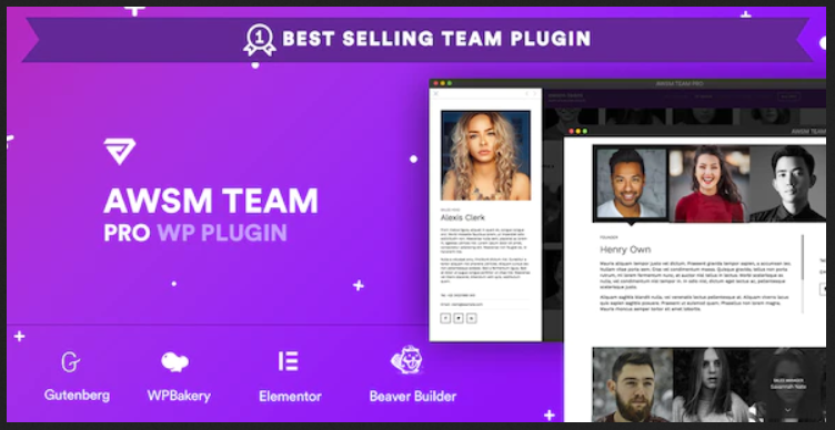 The Team Pro WordPress Plugin