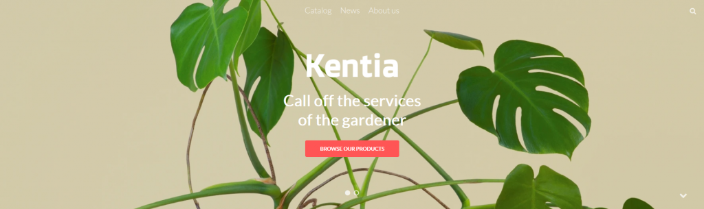 California Shopify Theme