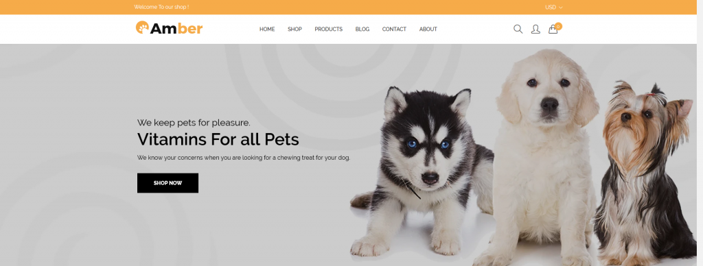 Amber Shopify Theme