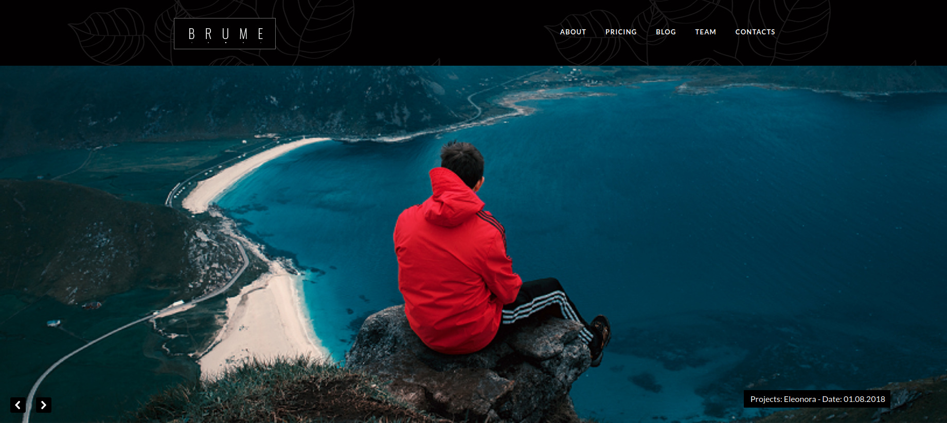 Brume - Photo Portfolio with Elementor Builder Photography WordPress Theme