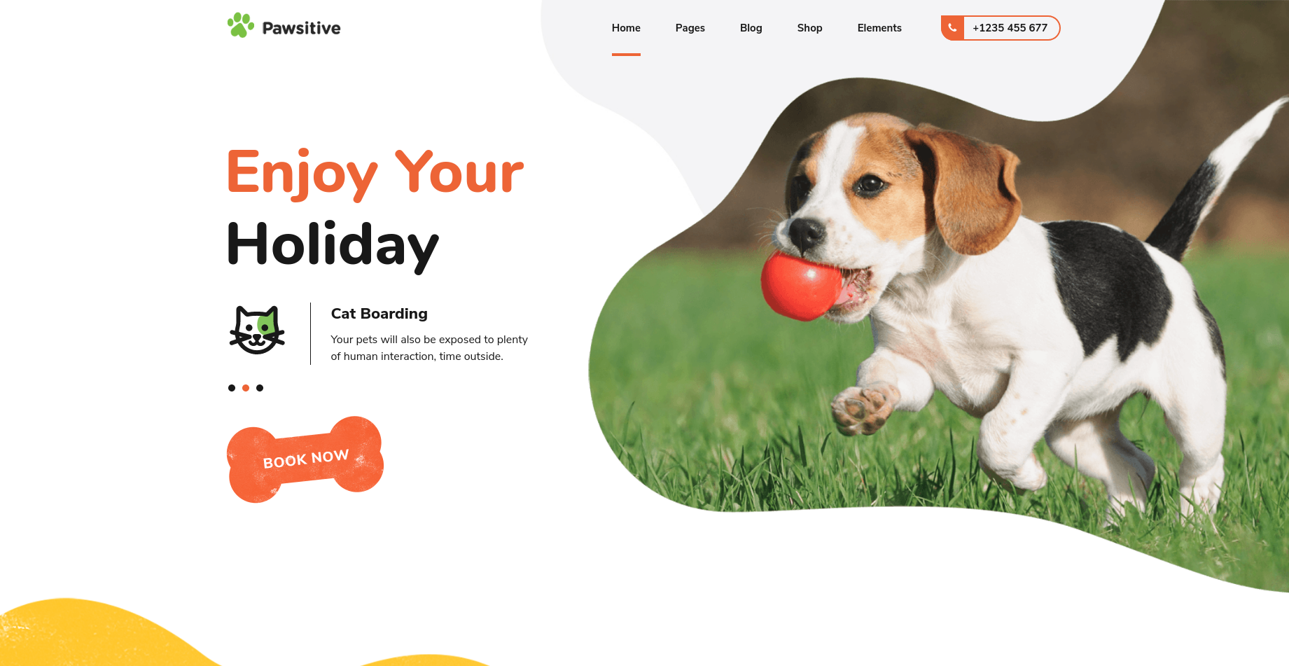 Pawsitive - Retail Stores WordPress Theme