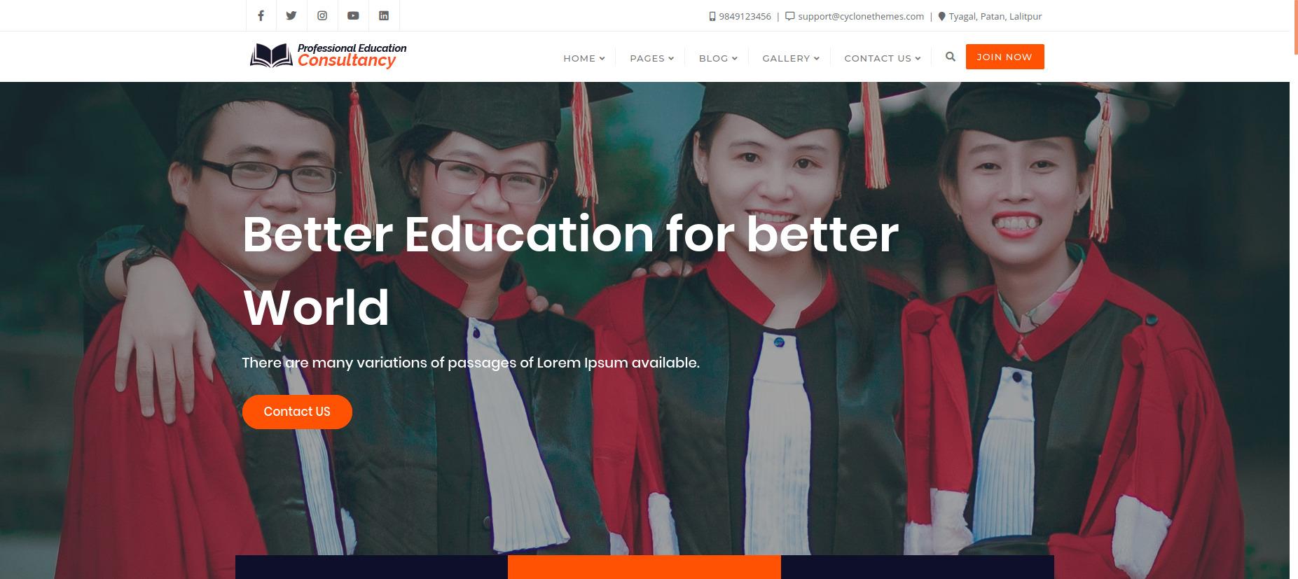 Professional Education Consultancy