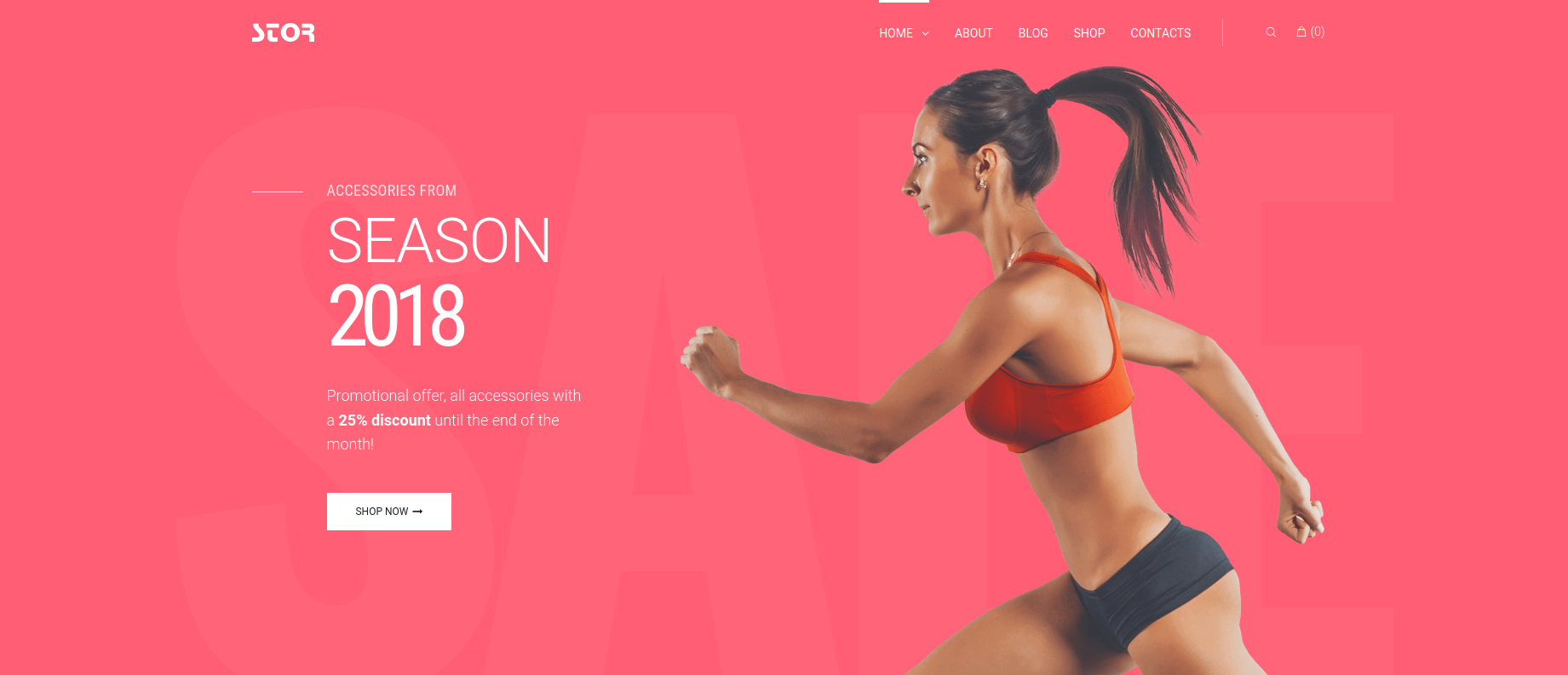 Stor - Fitness Accessories Store Multipurpose Classic Elementor WooCommerce Theme