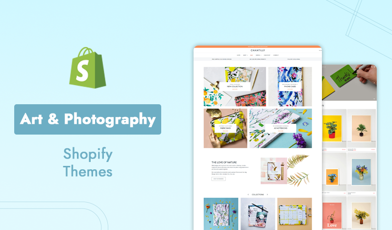 Top 5 Premium Art & Photography Shopify Themes For Your Store