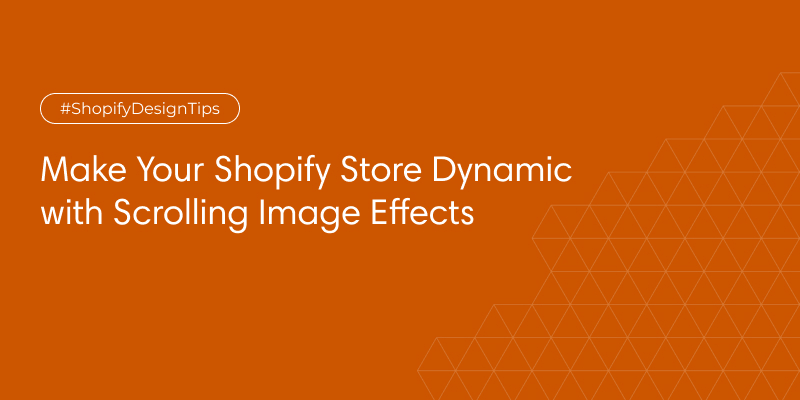 Shopify Store Dynamic
